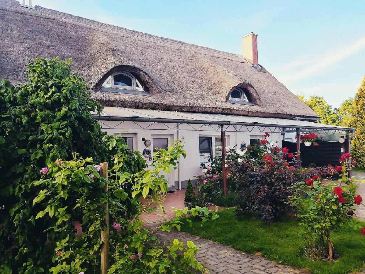 Reet Landhaus Ruegen Ummanz Eksteriør billede